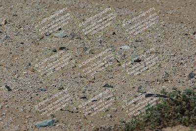 media/Oct-13-2025-Moto Forza (Mon) [[a66d839500]]/4-C Group/Session 3 (Turn 16)/